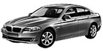 BMW F10 P370E Fault Code